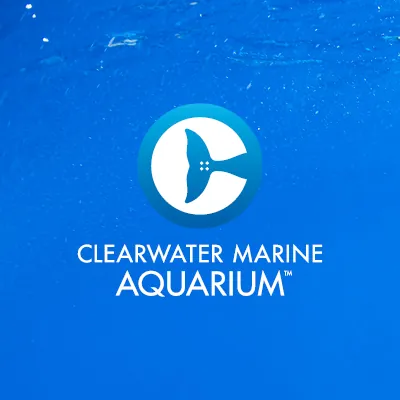 Clearwater Marine Aquarium logo